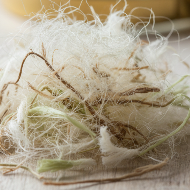 Close-up of a magnifying glass over a pile of white fibers on a light background
