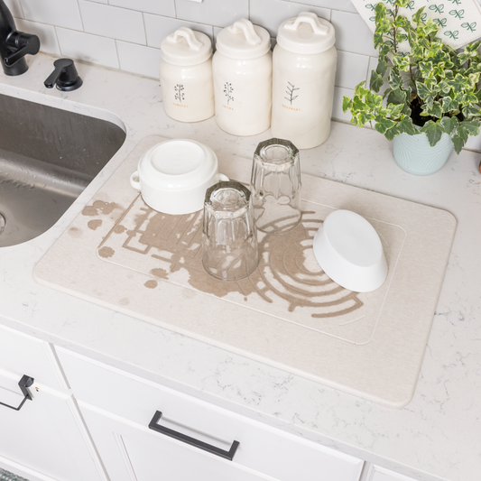 What is Diatomaceous Earth? The Science Behind Your Instantly-Drying Home